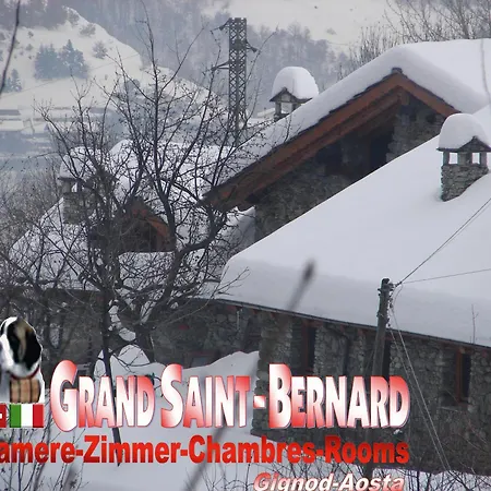 Grand Saint Bernard Gignod