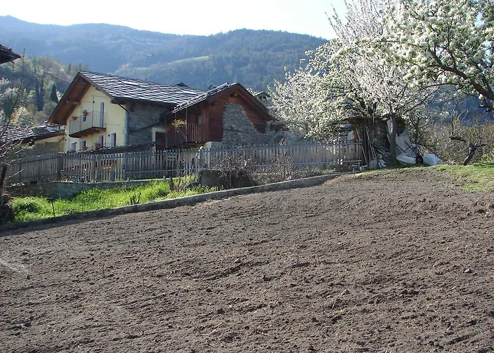 Grand Saint Bernard Gignod