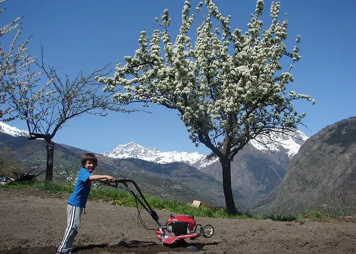 Bed & Breakfast Grand Saint Bernard