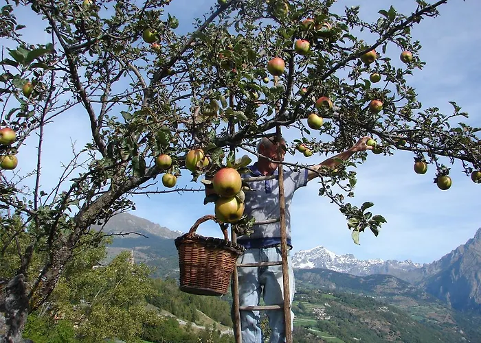 Grand Saint Bernard 3*